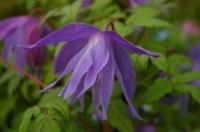 10e171071b93b405493f1424f4b6d720