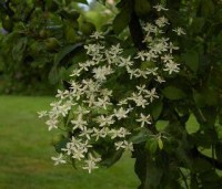 18660a50202668b3140168e9cd477f28