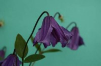 4727371f6158af135455d0ab8753acfe