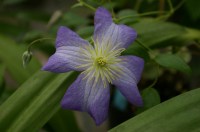 50994f4038bd58d7d7bf42ffff6af288