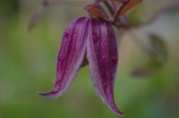 6384e03207d150888fcc8e65a3abd57c