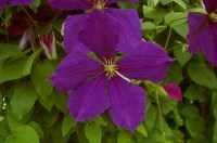 63b7ab342944cc67eaa90a5eb909e5a8