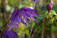 7d9831d1308fe495df9dcc8c10287ceb