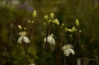 95253ba37cbac665b27bb7a3e55dd5e0