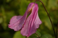 bba8bd468dd0e944d61ed97492b9076f