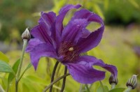 c7cd592a2b0a0a05dd2f8d8813a2b3f1