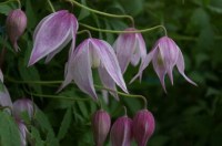 f6bea62252960d1ad14cfdd319c9785c